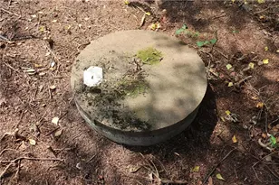 N12757 Rindahl Valley Rd, Osseo, WI 54758 - Photo 46