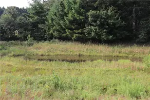 N12757 Rindahl Valley Rd, Osseo, WI 54758 - Photo 56
