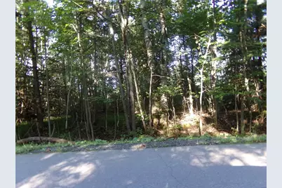 7581 S Marsik Lot 3 Road, Lake Nebagamon, WI 54849 - Photo 1