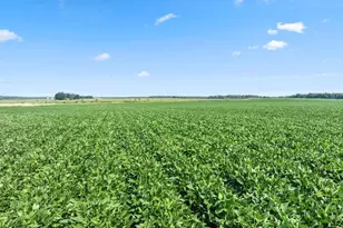 W3596 Artisan Dr, Glen Flora, WI 54526 - Photo 20