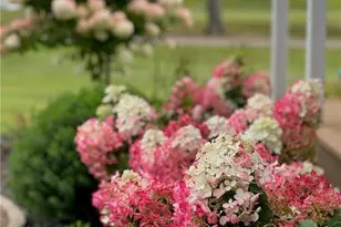 W3596 Artisan Dr, Glen Flora, WI 54526 - Photo 60