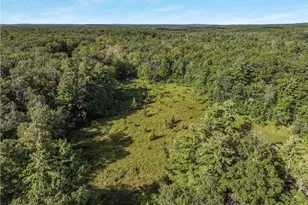 W16694 Hogback Rd, Chetek, WI 54728 - Photo 40