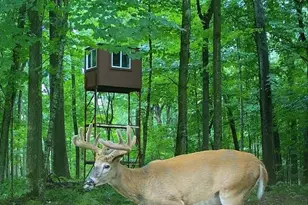 W16694 Hogback Rd, Chetek, WI 54728 - Photo 54