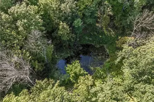 W16694 Hogback Rd, Chetek, WI 54728 - Photo 38