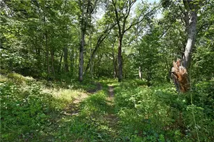 8523 Lakeside Rd Rd, Trego, WI 54888 - Photo 46