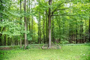 W828 Evergreen Ct, Spring Valley, WI 54767 - Photo 42