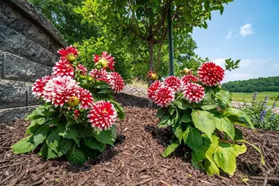 N7900 County Road J, Menomonie, WI 54751 - Photo 42