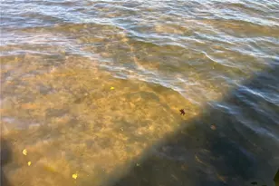 2036C 135th St, Milltown, WI 54858 - Photo 4