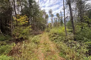 24514 State Hwy 178, Cornell, WI 54732 - Photo 8