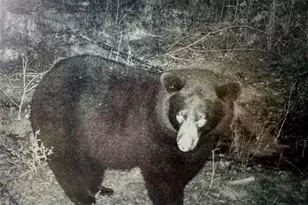 24514 State Hwy 178, Cornell, WI 54732 - Photo 50