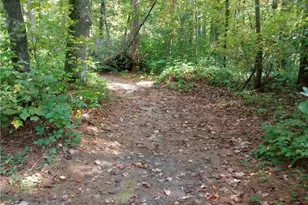 N7084 US Hwy 12, Black River Falls, WI 54615 - Photo 48