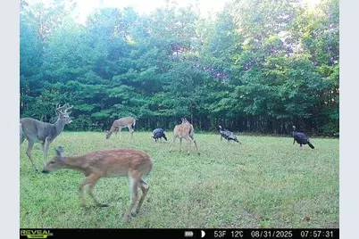 7512 W Poertner Road, Neillsville, WI 54456 - Photo 40