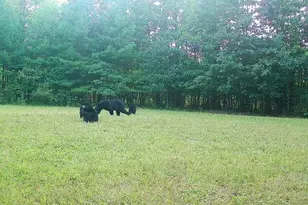 7512 W Poertner Rd, Neillsville, WI 54456 - Photo 44