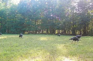 7512 W Poertner Rd, Neillsville, WI 54456 - Photo 38