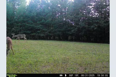 7512 W Poertner Road, Neillsville, WI 54456 - Photo 42