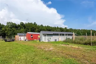 N3555 Nichols Rd, Black River Falls, WI 54615 - Photo 40