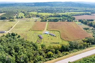 N3555 Nichols Rd, Black River Falls, WI 54615 - Photo 48