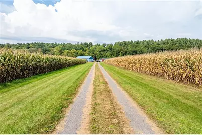 N3555 Nichols Road, Black River Falls, WI 54615 - Photo 58