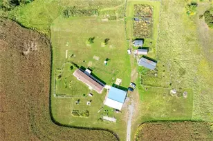 N3555 Nichols Rd, Black River Falls, WI 54615 - Photo 54