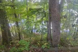 6733W Golf Course Rd, Winter, WI 54896 - Photo 34