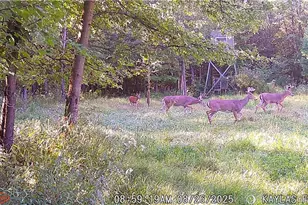 W6674 Poertner Rd, Neillsville, WI 54456 - Photo 52