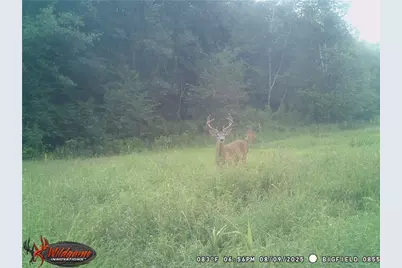 W6674 Poertner Road, Neillsville, WI 54456 - Photo 50