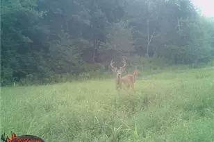 W6674 Poertner Rd, Neillsville, WI 54456 - Photo 50