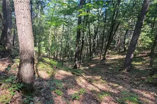 W10821 Johnson Rd, Merrillan, WI 54754 - Photo 38