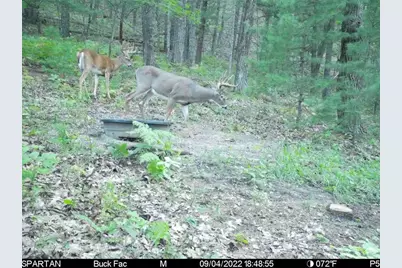 W10821 Johnson Road, Merrillan, WI 54754 - Photo 28