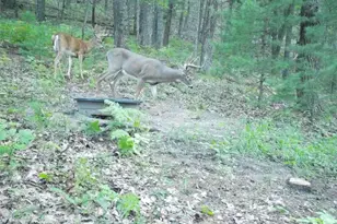 W10821 Johnson Rd, Merrillan, WI 54754 - Photo 28