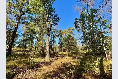 Xx153 River Road, Saint Croix Falls, WI 54024 - Photo 10