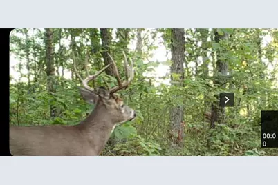 Xx153 River Road, Saint Croix Falls, WI 54024 - Photo 1