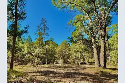 Xx153 River Road, Saint Croix Falls, WI 54024 - Photo 16