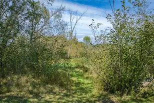 W16396 County Rd C, Taylor, WI 54659 - Photo 18
