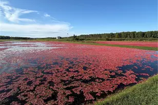 1906 State Rd 27, Exeland, WI 54835 - Photo 30