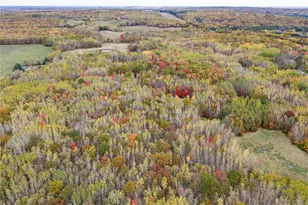 N8344 Champion Rd, Trego, WI 54888 - Photo 6