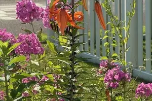 1213 2nd St, Chetek, WI 54728 - Photo 42