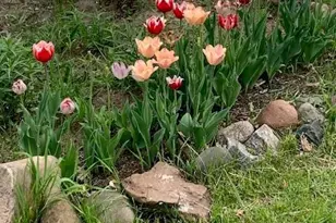 1213 2nd St, Chetek, WI 54728 - Photo 44