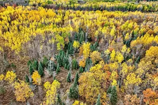 1495 Bain Rd, Brule, WI 54820 - Photo 44