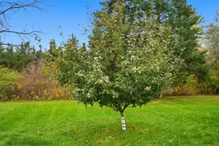 N6909 W Elm Rd, Ladysmith, WI 54484 - Photo 24