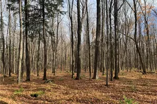 W7141 Divine Rapids Rd, Park Falls, WI 54552 - Photo 60