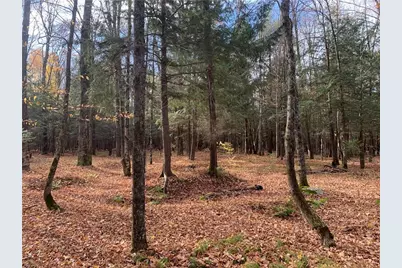 W7141 Divine Rapids Road, Park Falls, WI 54552 - Photo 8