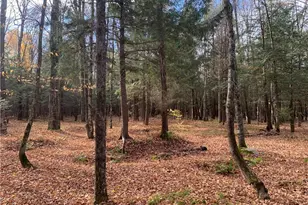 W7141 Divine Rapids Rd, Park Falls, WI 54552 - Photo 8