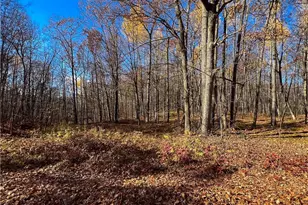 8264 Ochu Rd, Hayward, WI 54843 - Photo 54