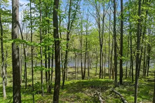 1996 State Road 40, Exeland, WI 54835 - Photo 42