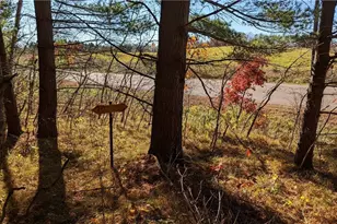 5505 Ham Holly Dr, Stone Lake, WI 54876 - Photo 28