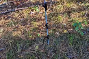 5505 Ham Holly Dr, Stone Lake, WI 54876 - Photo 30