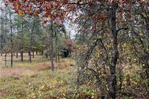 13421 S Simms Lake Rd, Gordon, WI 54838 - Photo 12