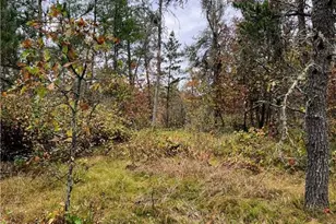 13421 S Simms Lake Rd, Gordon, WI 54838 - Photo 8