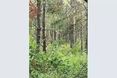 5500 County Highway I, Sparta, WI 54656 - Photo 6